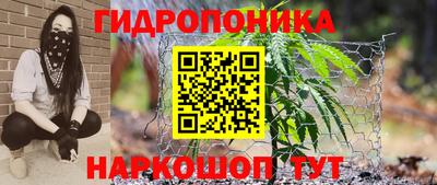 стаф Краснокаменск