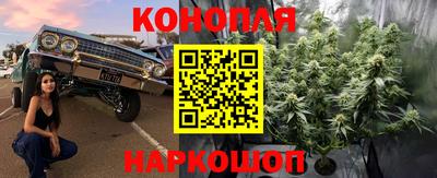 mdma Краснознаменск