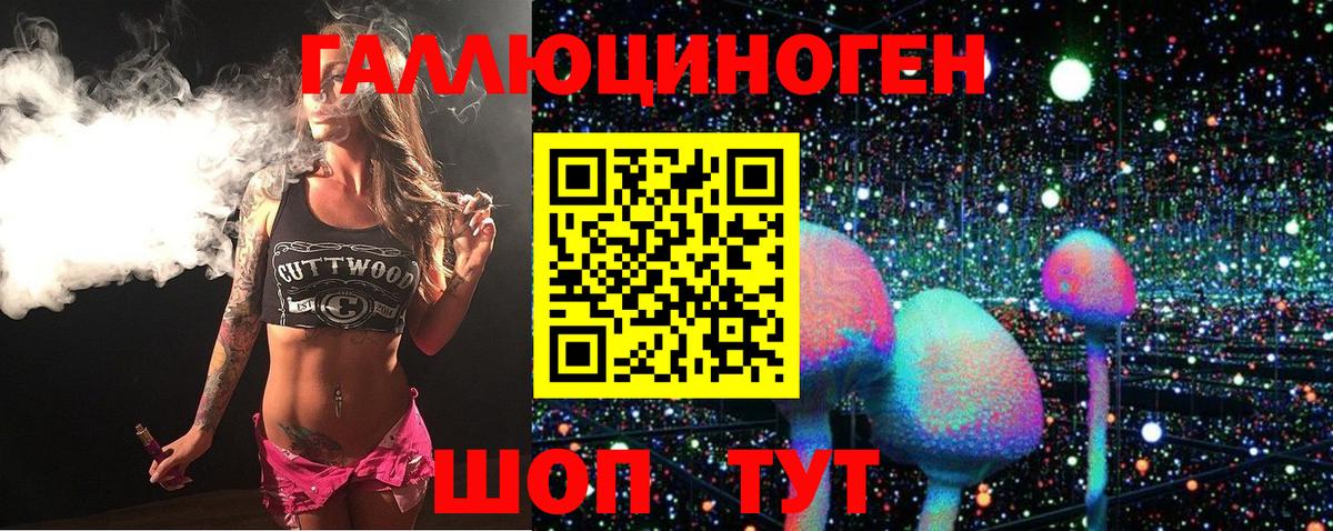 Псилоцибиновые грибы Psilocybe Зима