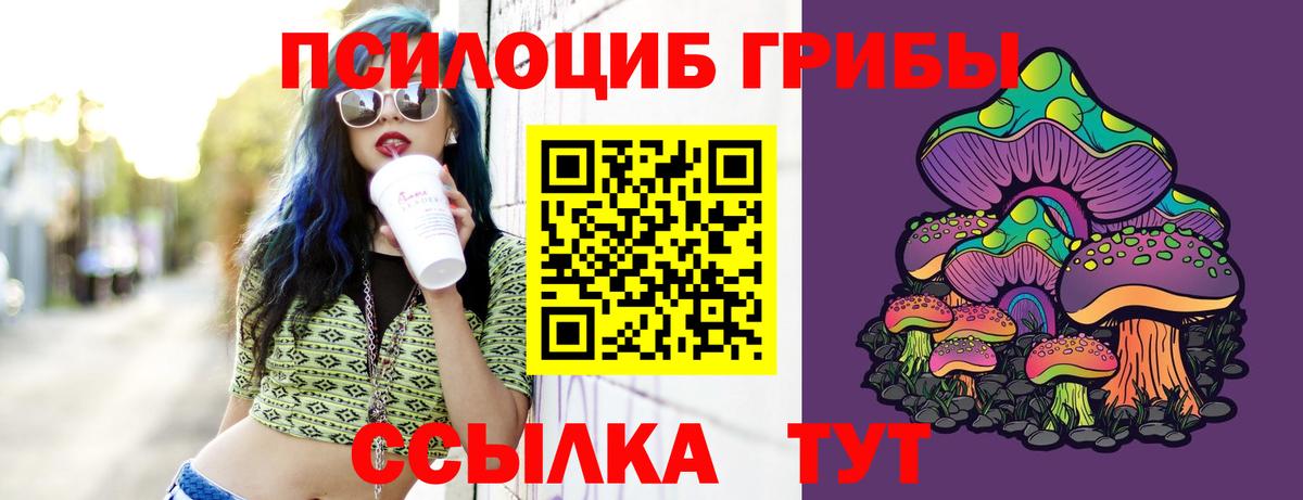 Зима  Галлюциногенные грибы Psilocybe  Вход с VPN 